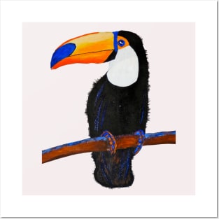 Toucan Posters and Art